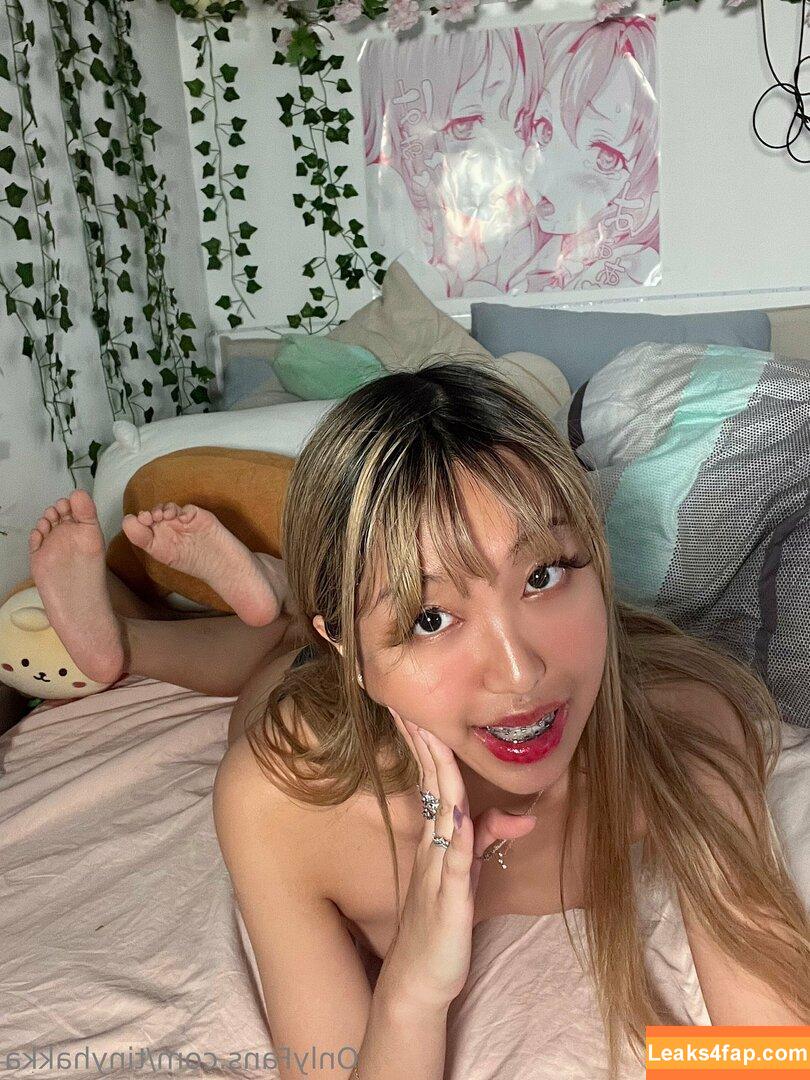 tinyhakka / hakkame_soup leaked photo photo #0015