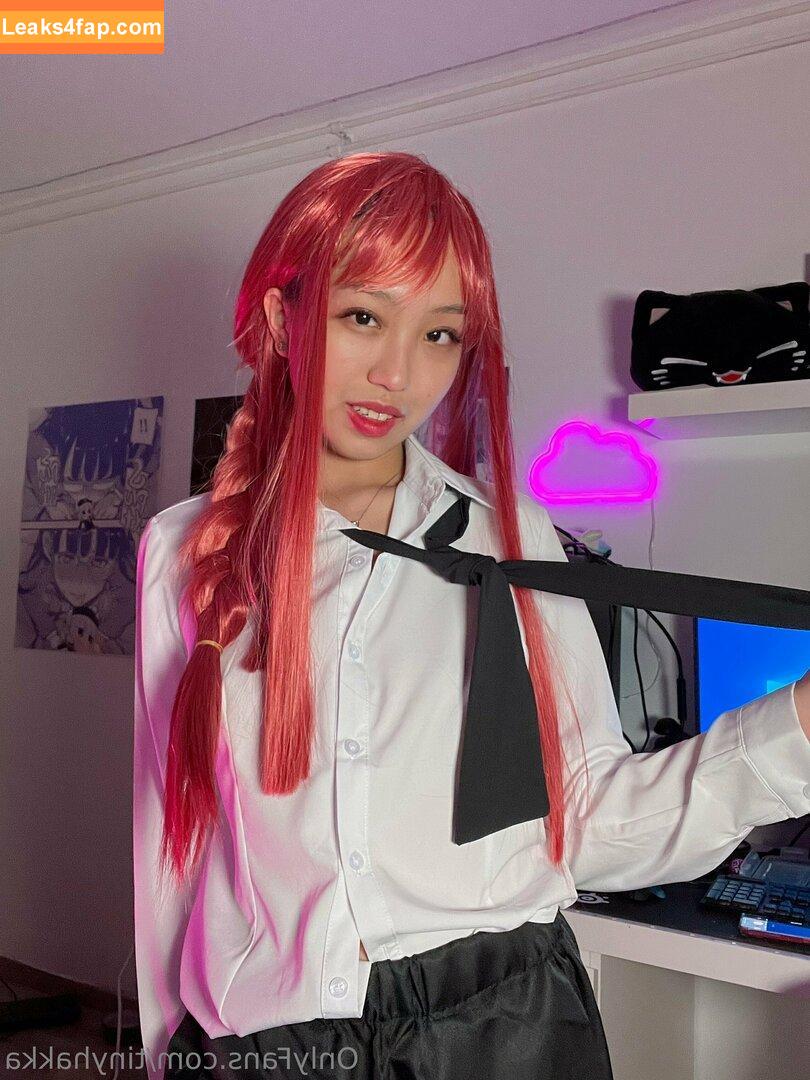 tinyhakka / hakkame_soup leaked photo photo #0020