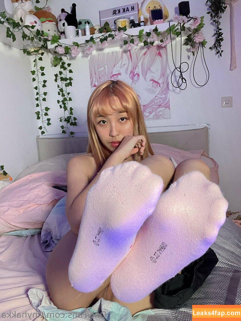 tinyhakka / hakkame_soup leaked photo photo #0050
