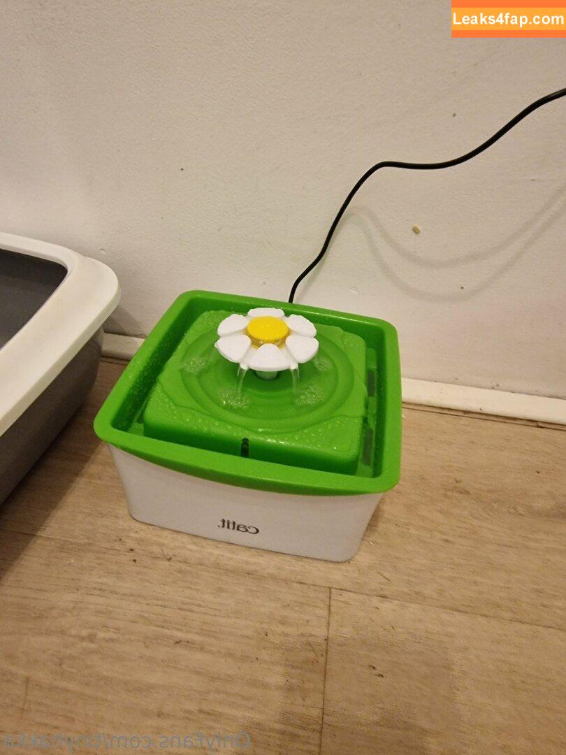tinyhakka / hakkame_soup leaked photo photo #0053
