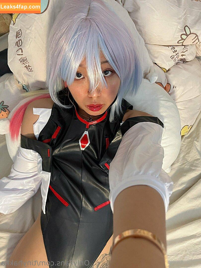 tinyhakka / hakkame_soup leaked photo photo #0061