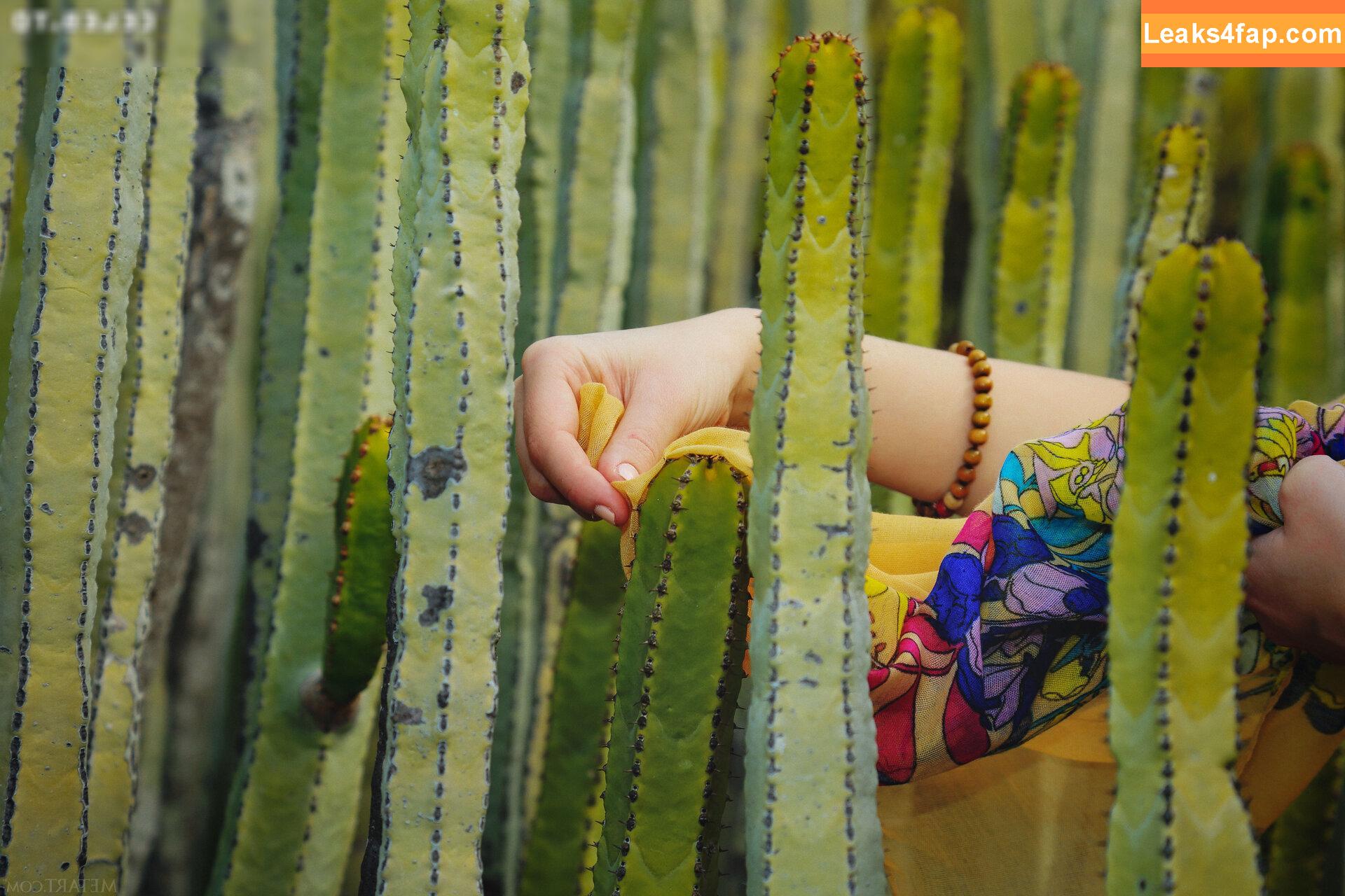 5038 /  leaked photo photo #2700