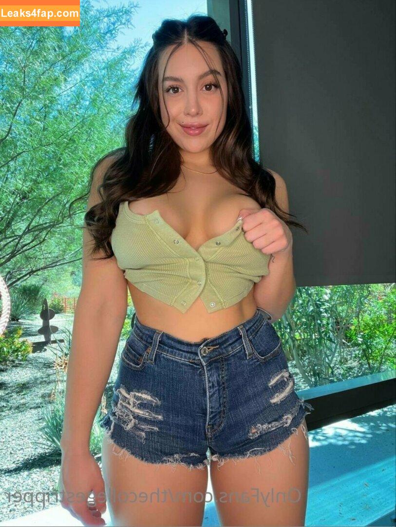 Mia Monroe / leilaroxx / leilaroxxo / mia.monroe24 / thecollegestripper leaked photo photo #0001