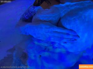 Loonakia photo #0002