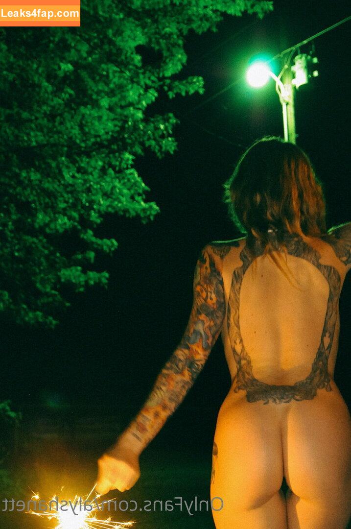 Alysha Nett / alyshanett leaked photo photo #0199