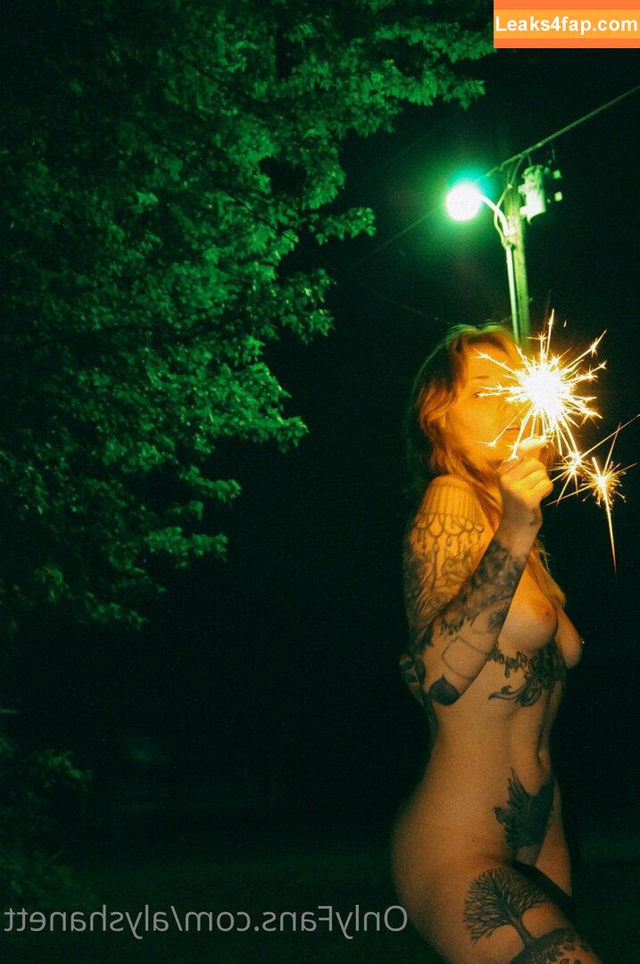 Alysha Nett / alyshanett leaked photo photo #0203
