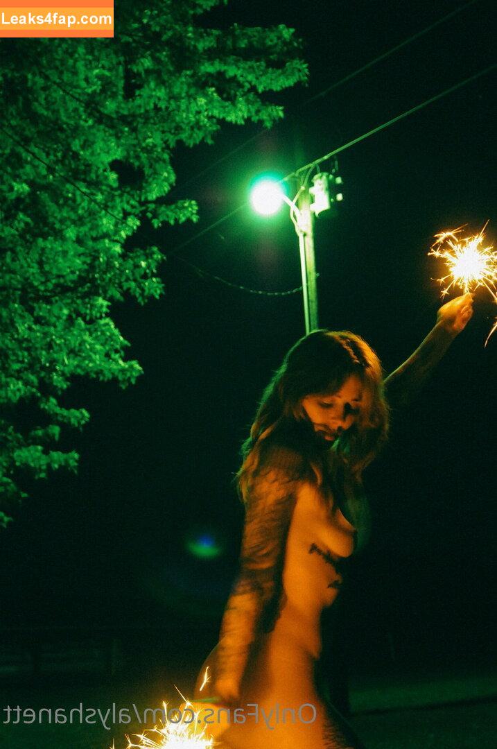 Alysha Nett / alyshanett leaked photo photo #0204
