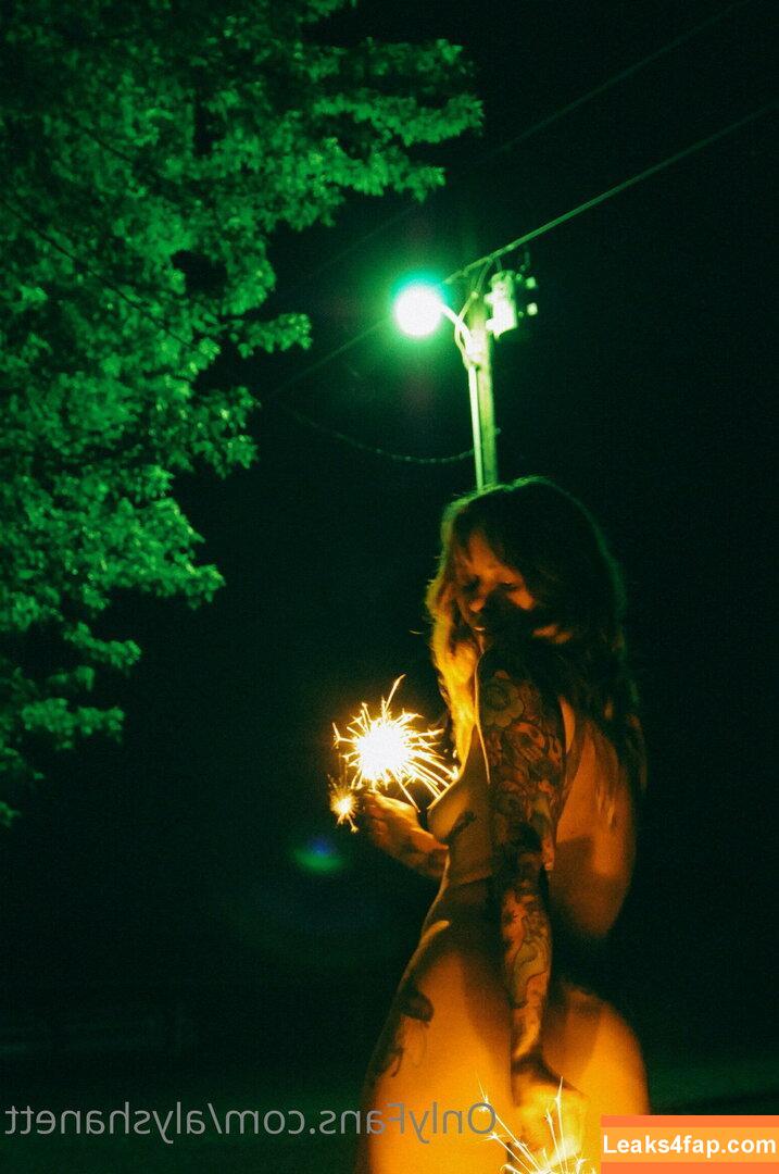Alysha Nett / alyshanett leaked photo photo #0206