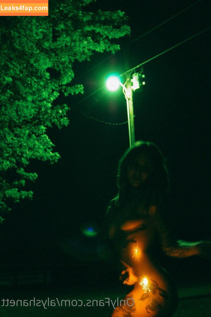 Alysha Nett / alyshanett leaked photo photo #0210