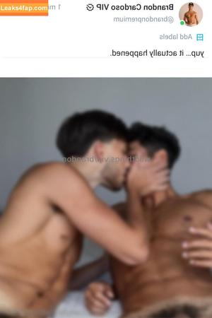 brandoncardoso photo #0010