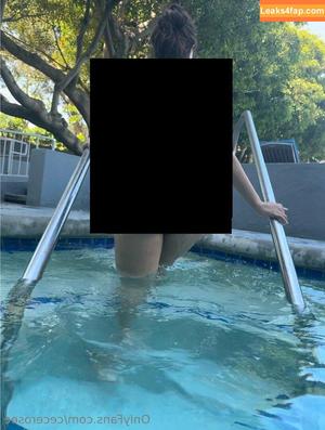 cecerosee photo #0079
