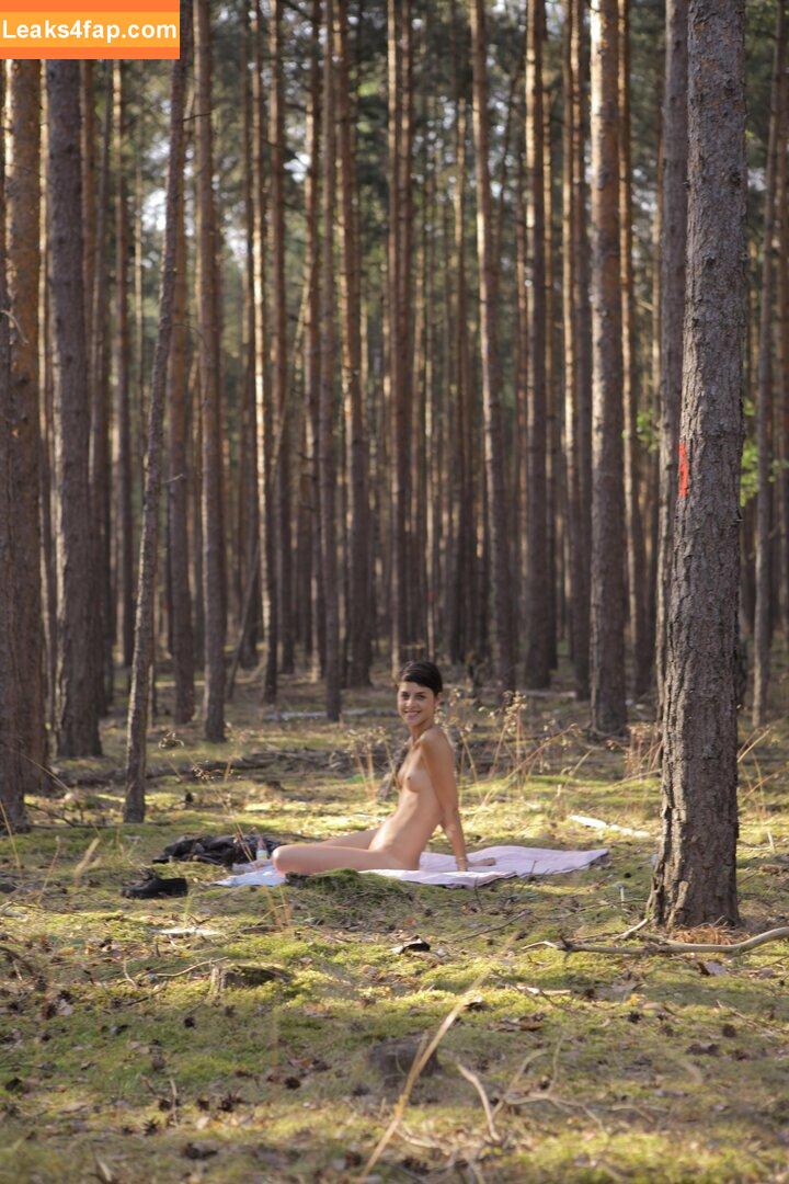 Ersties / abiadultpics / erstiesofficial leaked photo photo #0023