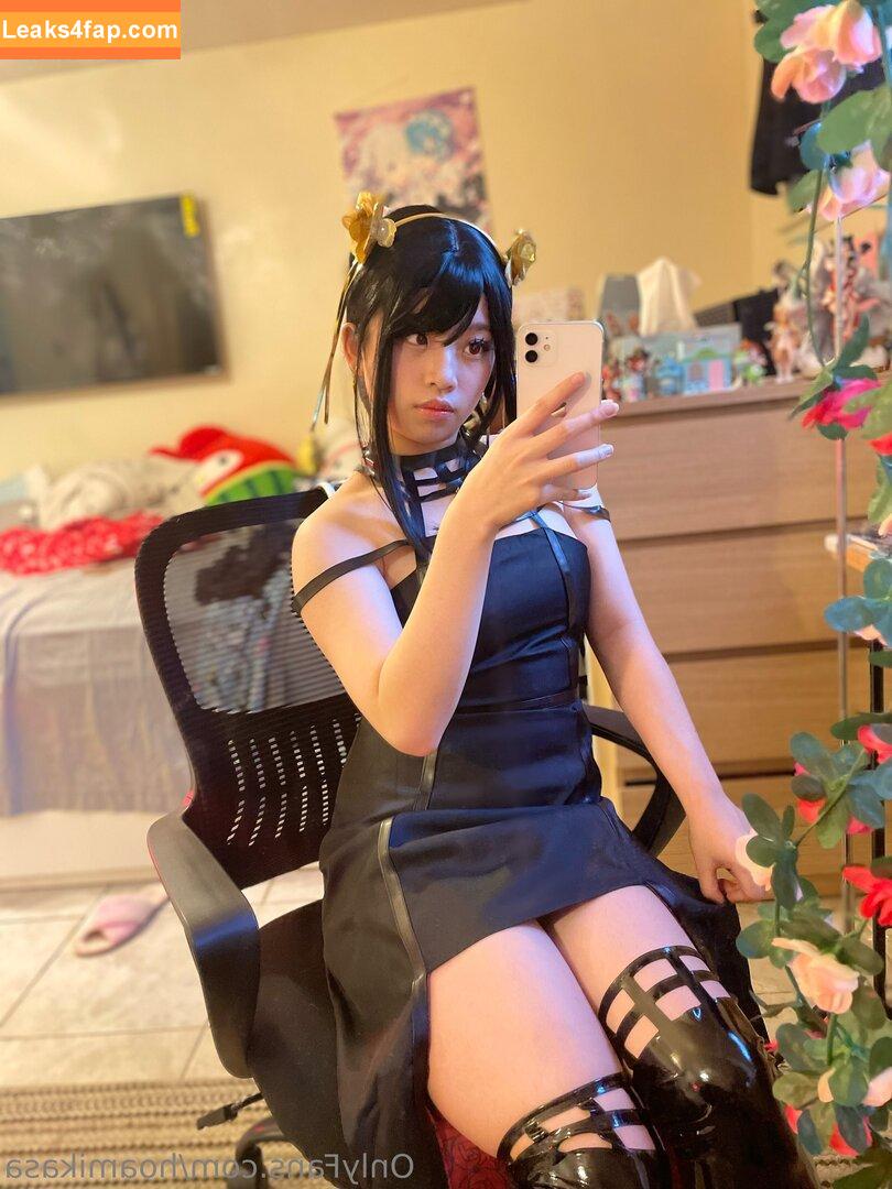 Hoamikasa / totorobuns слитое фото фото #0001