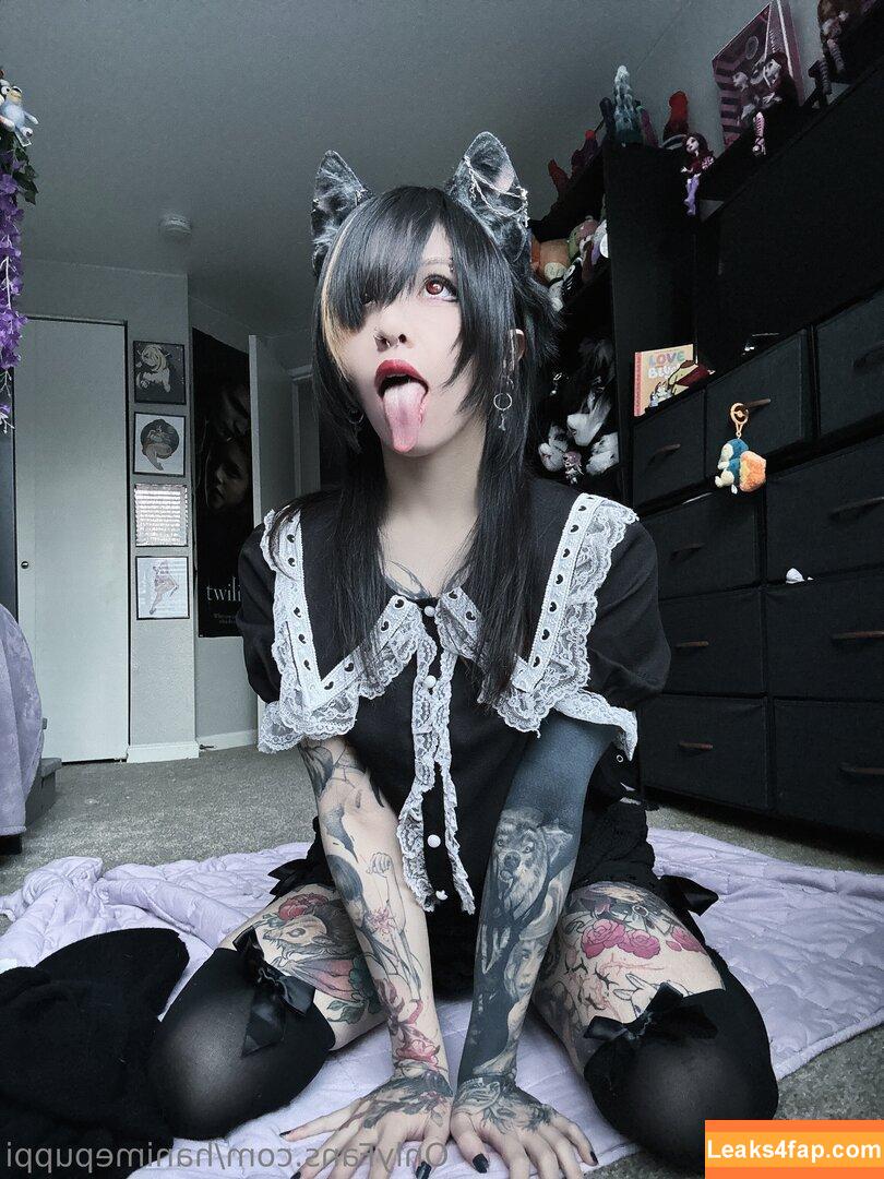 Puppiloli / hanimepuppi leaked photo photo #0003