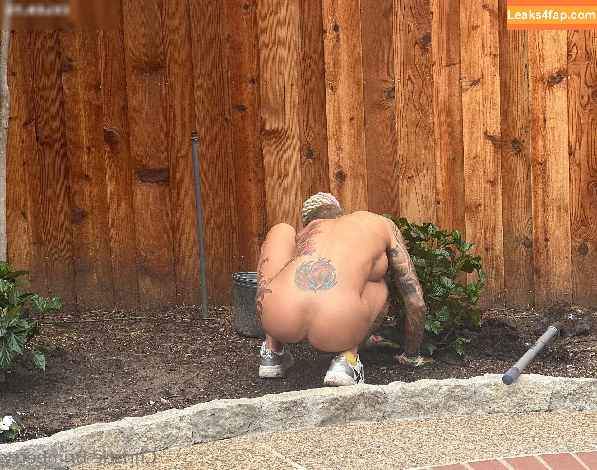 christie-brimberry / Gas Monkey / christiebrimberry / gmgchristie слитое фото фото #1150