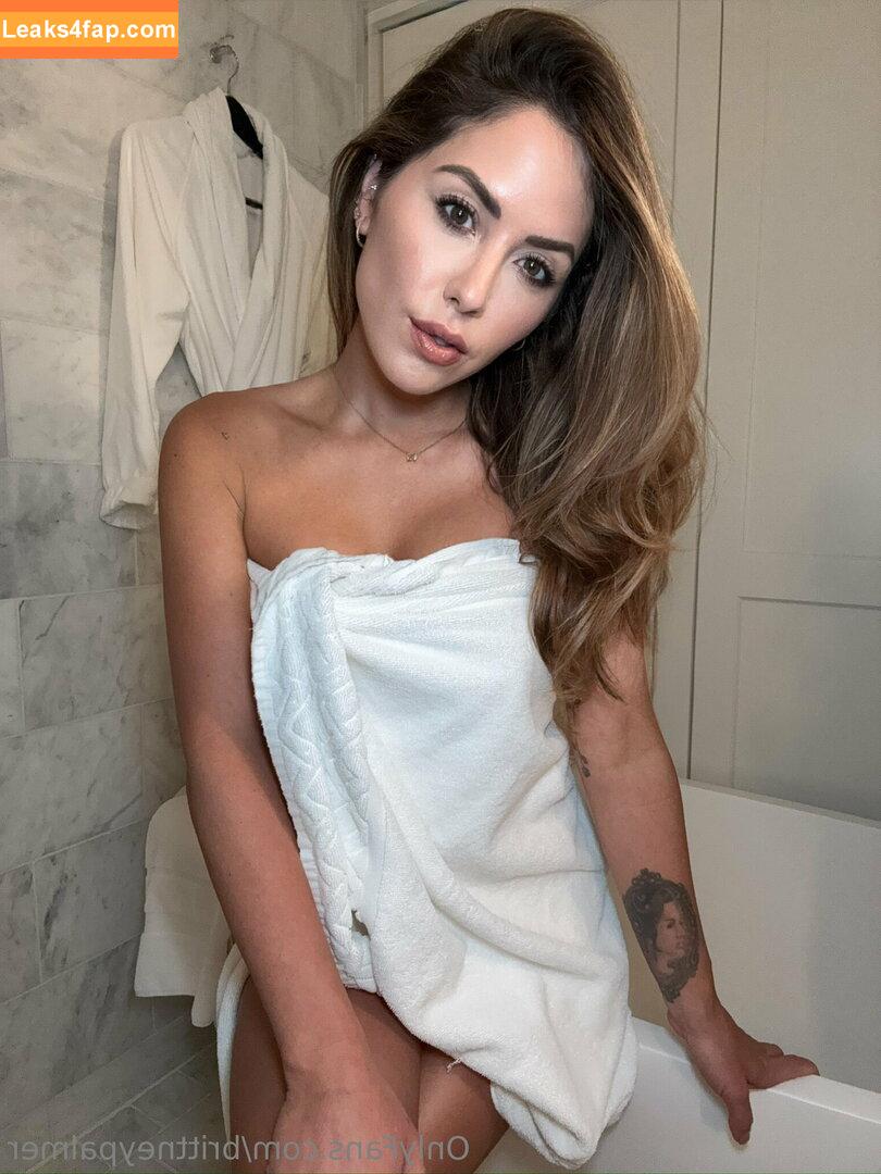 Brittney Palmer / brittneypalmer слитое фото фото #0017
