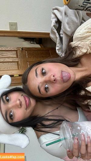 Malayaax photo #0008