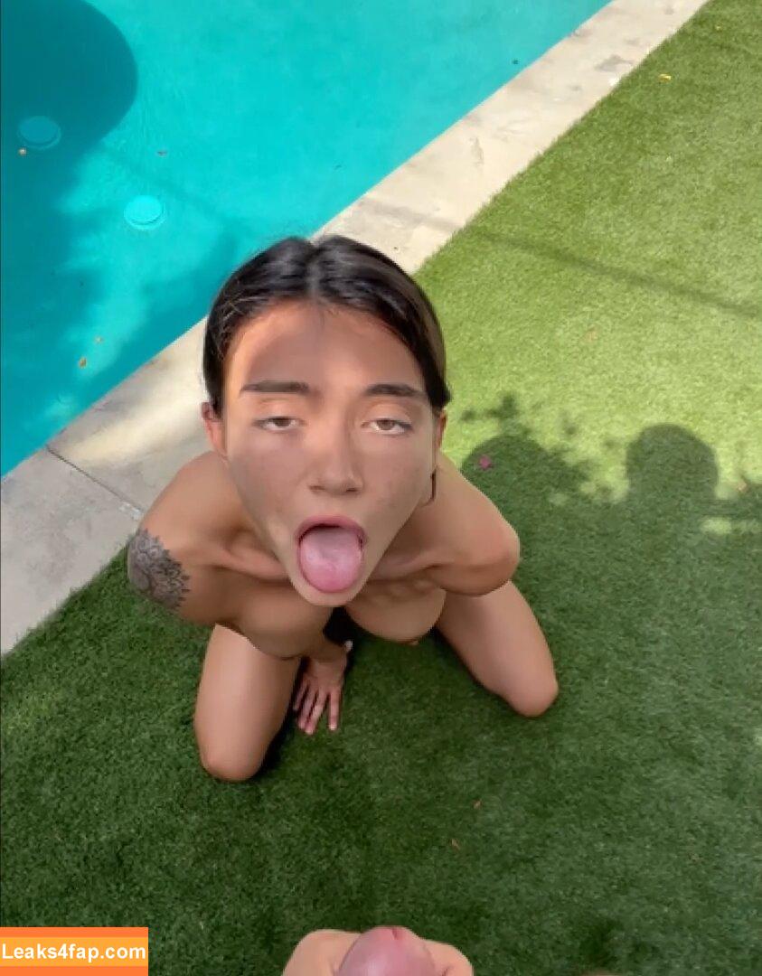 Amira Brie / amirabrie / https: / princess.amira.b leaked photo photo #0052