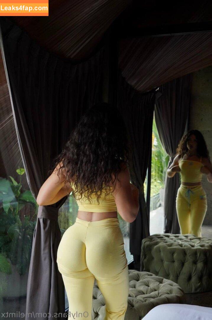 MelimTX leaked photo photo #0039
