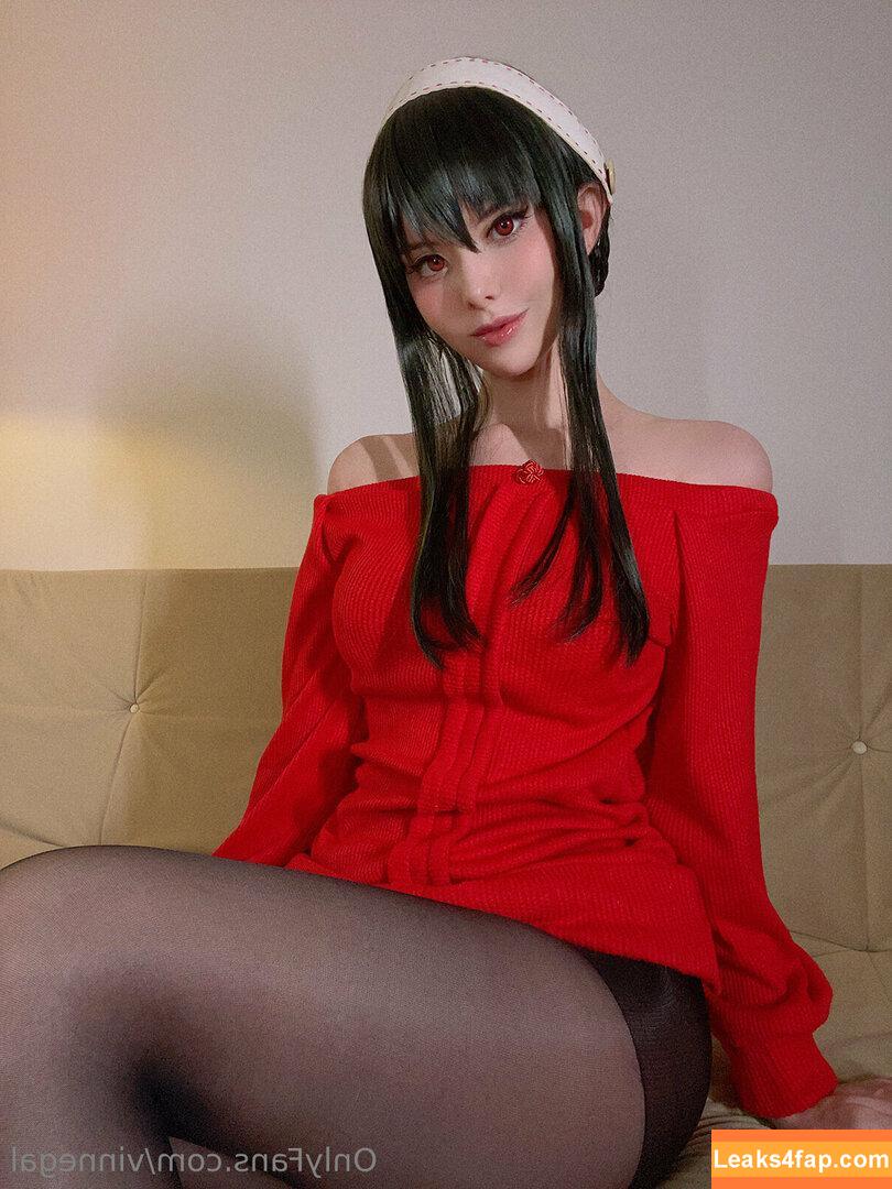 Vinnegal / vinnegal_ слитое фото фото #0005