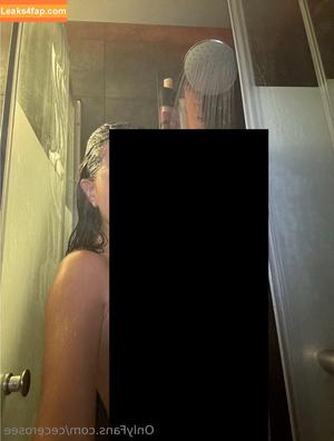 cecerosee photo #0046