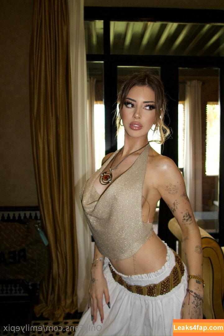 epixemily / Emily Rose leaked photo photo #0011
