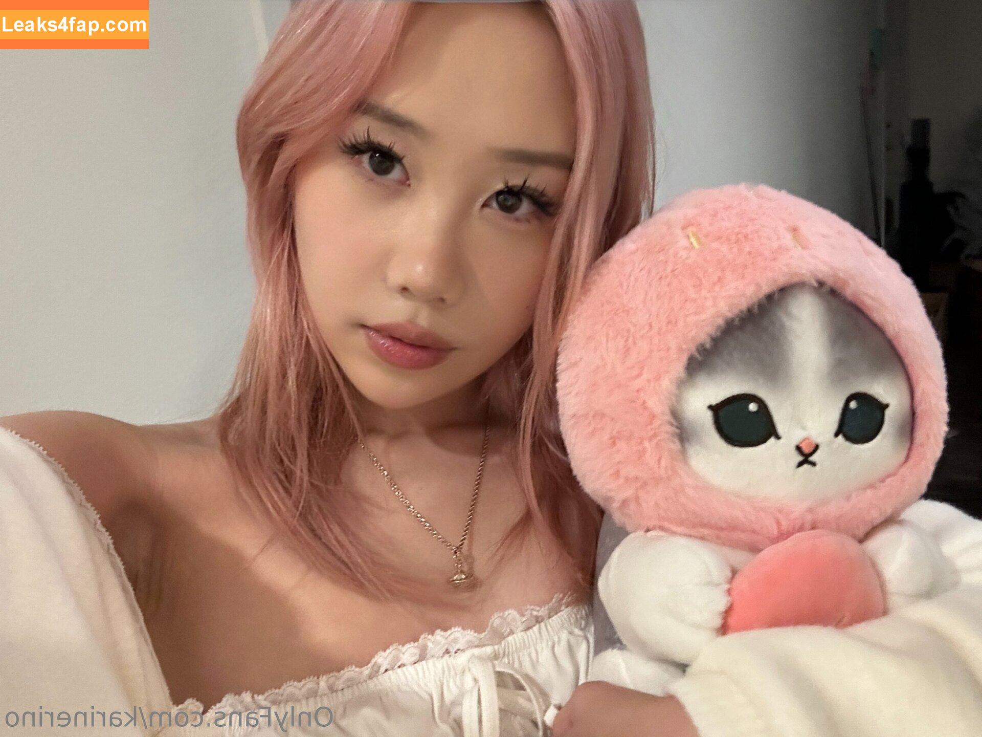 karinerino /  leaked photo photo #0001