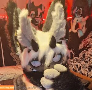 lilkojikitten photo #0001
