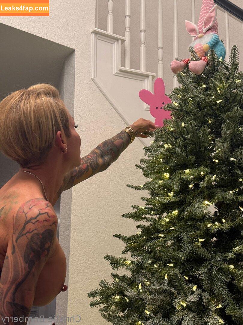 Christie Brimberry / christiebrimberry / gmgchristie leaked photo photo #0091