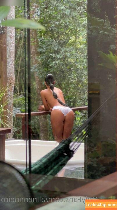 Aline Mineiro / Ex-Panicat / alinemineiro слитое фото фото #0269