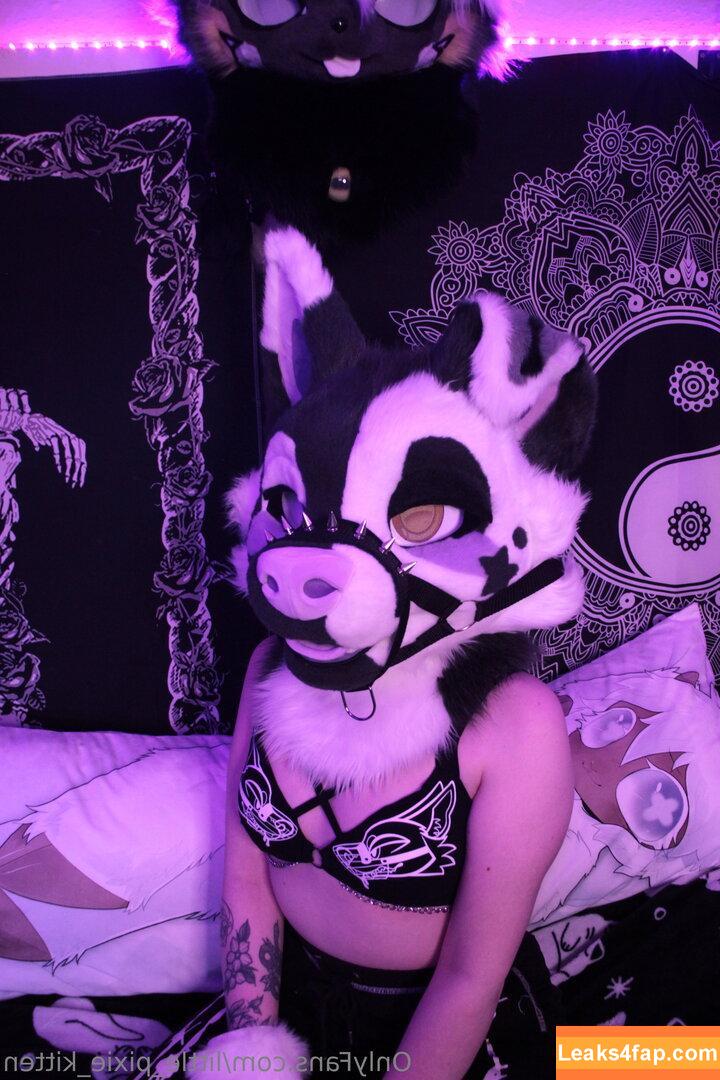 little_pixie_kitten / littlepixiekitten слитое фото фото #0006