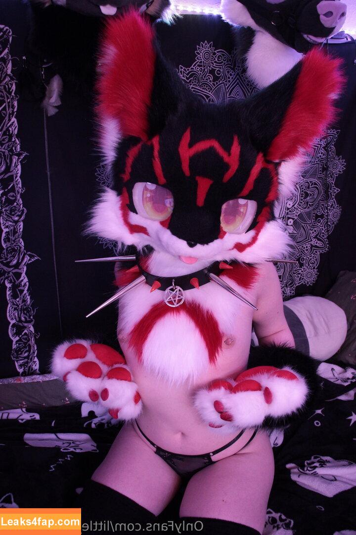 little_pixie_kitten / littlepixiekitten слитое фото фото #0011