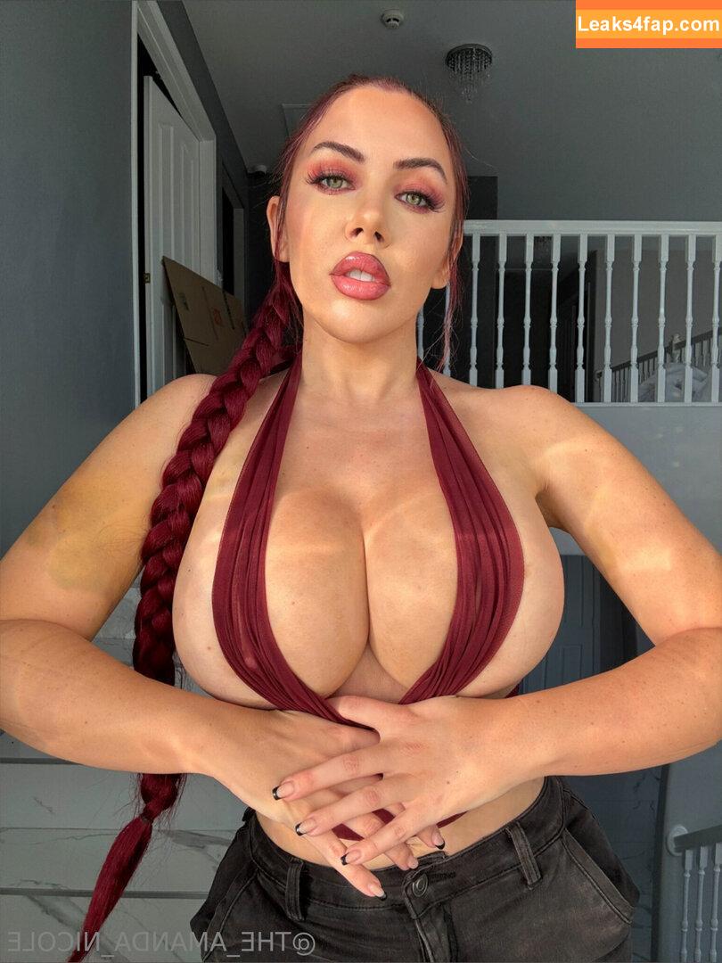 theamandanicole / the_amanda_nicole leaked photo photo #0025