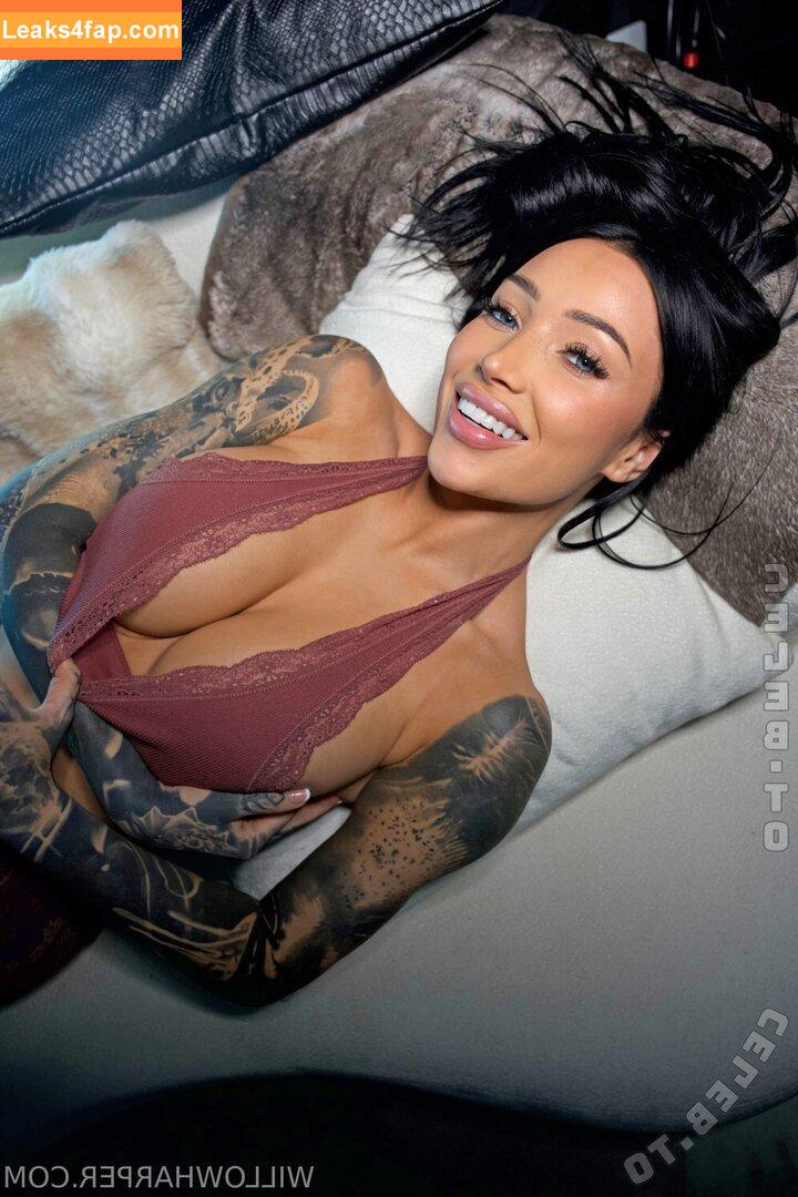 Willow Harper / AfterDarkWillow / willlowharper leaked photo photo #0049