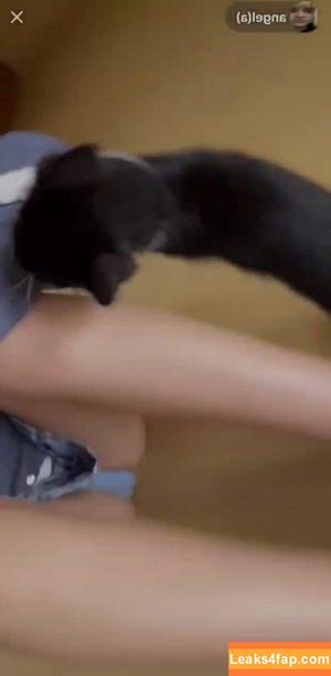 aangelarrochista photo #0167