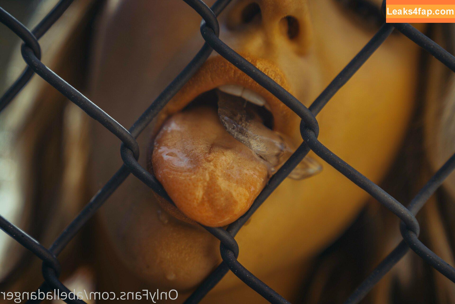 Abella Danger / abelladanger / dangershewrote / https: leaked photo photo #0285