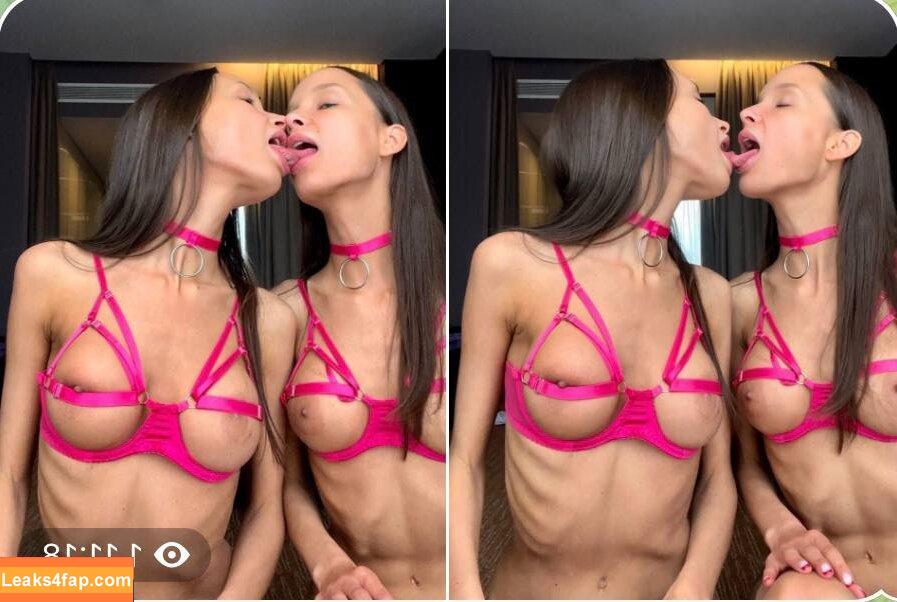 Adelalinka Twins / adelalinka / adelalinka_life / adelina_alinka leaked photo photo #0184