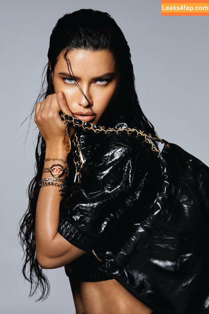 Adriana Lima / AdrianaLima / adrivainilla слитое фото фото #0023