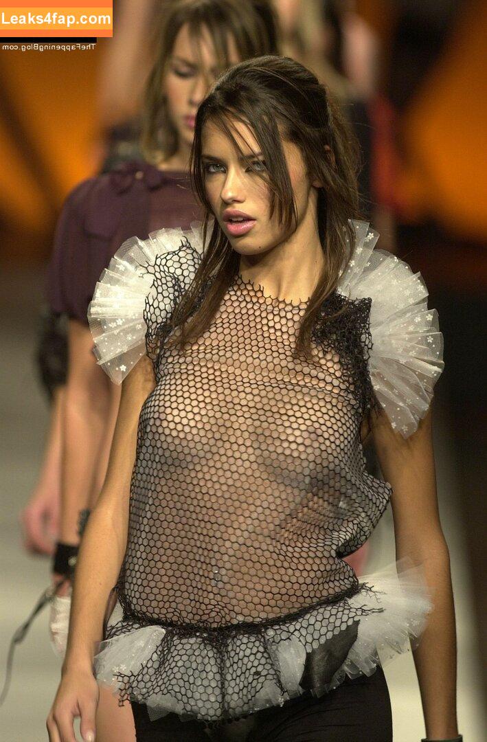 Adriana Lima / AdrianaLima / adrivainilla слитое фото фото #0087