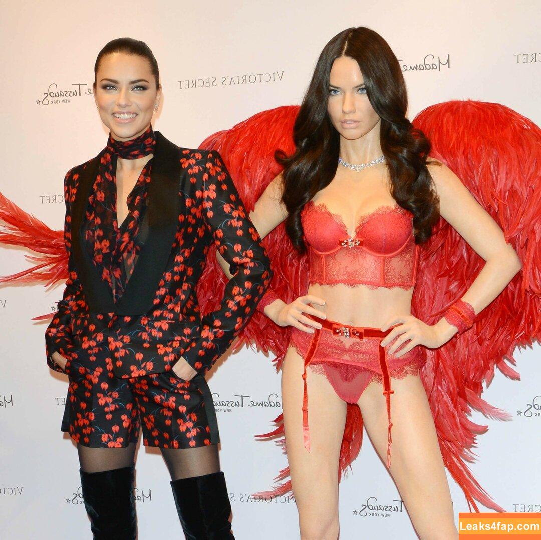 Adriana Lima / AdrianaLima / adrivainilla leaked photo photo #0698