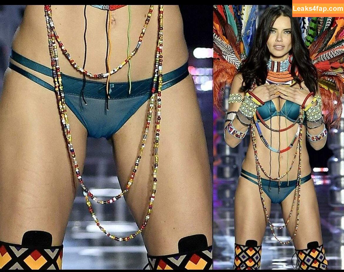 Adriana Lima / AdrianaLima / adrivainilla leaked photo photo #1118