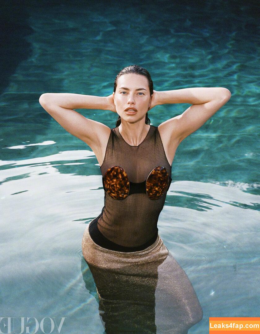 Adriana Lima / AdrianaLima / adrivainilla слитое фото фото #1141