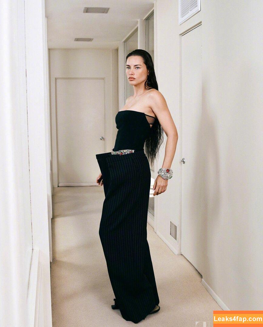 Adriana Lima / AdrianaLima / adrivainilla слитое фото фото #1153