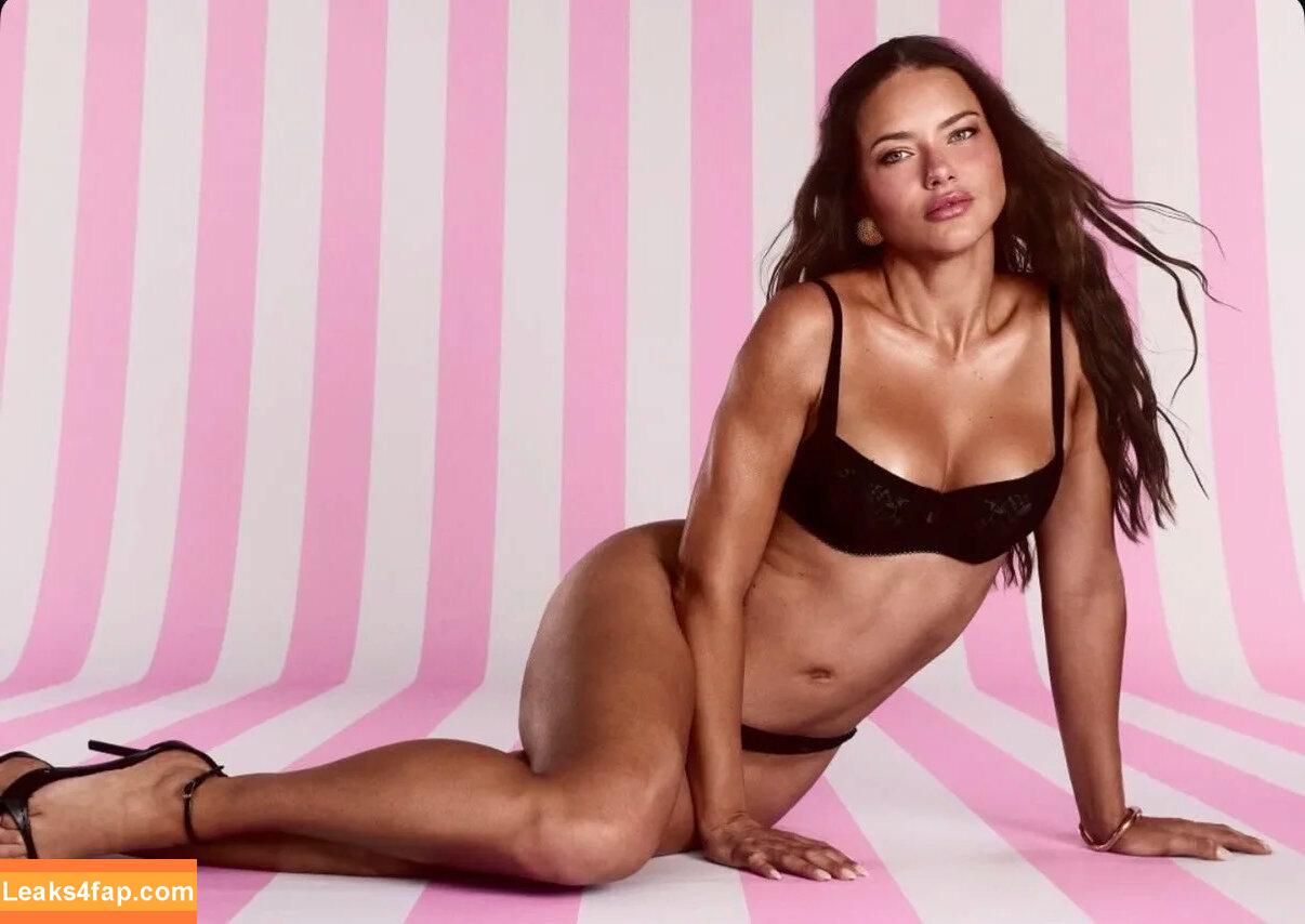 Adriana Lima / AdrianaLima / adrivainilla leaked photo photo #1162