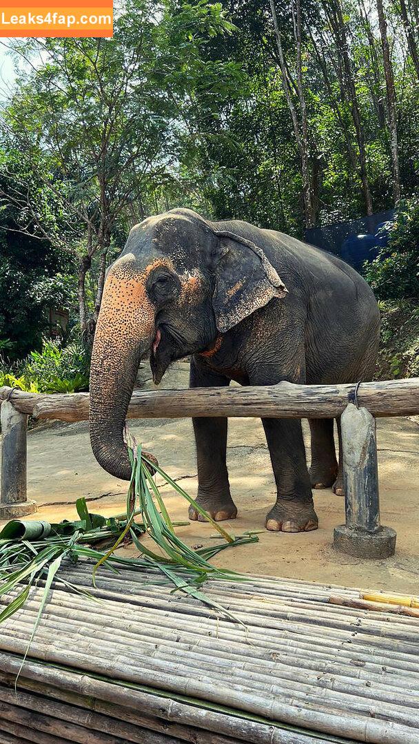 AGflower Cosplay / agflower / agflower1 / agflower_shu leaked photo photo #0520