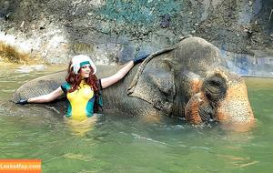 AGflower Cosplay photo #0510