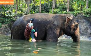 AGflower Cosplay photo #0526