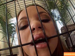 Airtight photo #0042