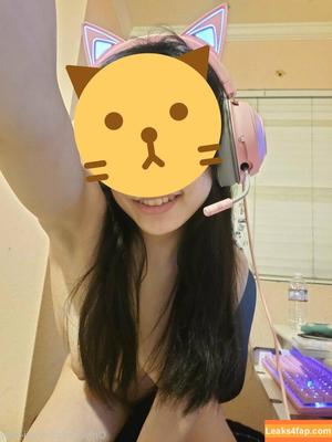 aki-kitty photo #0006