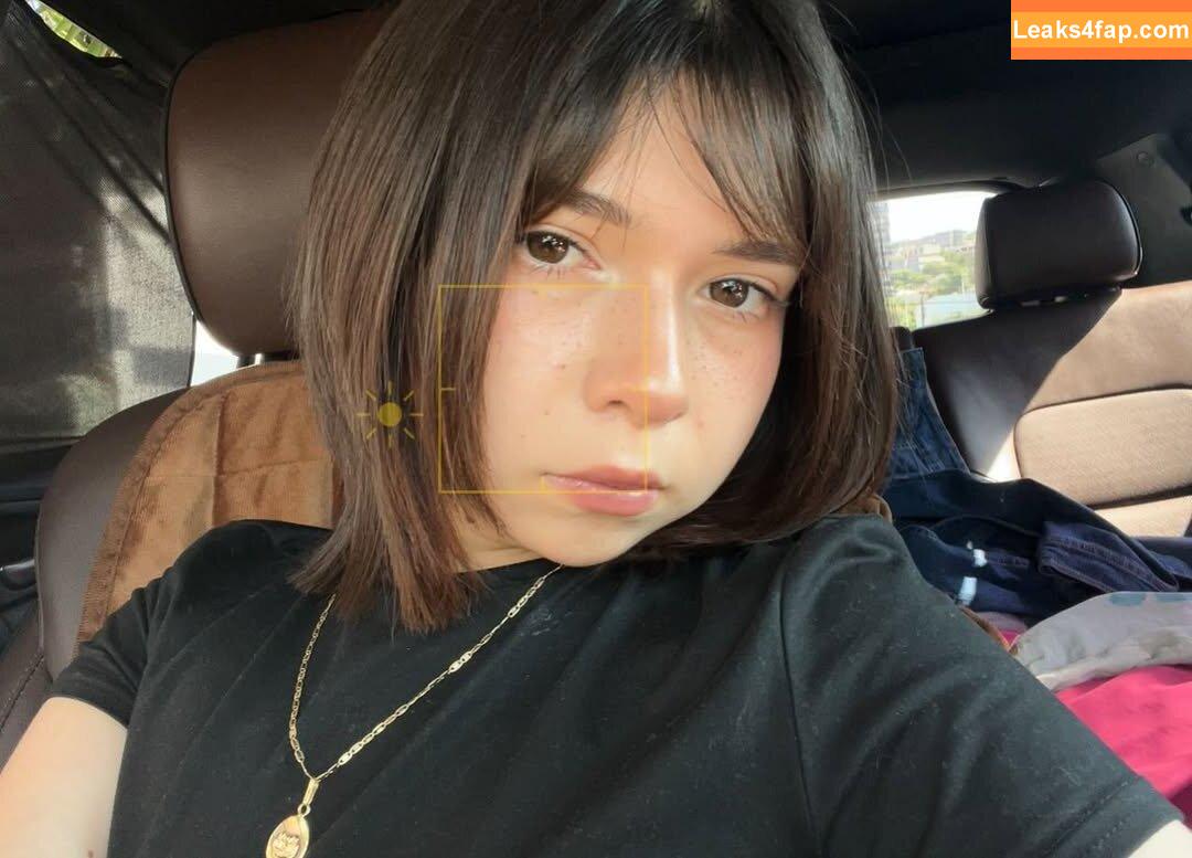 ale.zrm / ale.crm leaked photo photo #0065
